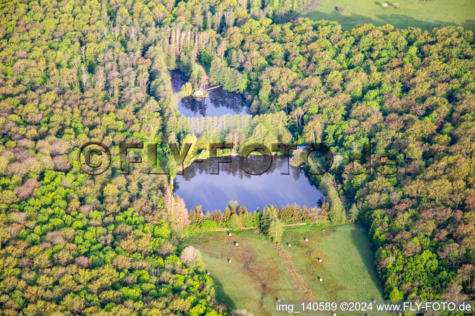 Wier in the forest in Vibersviller in the state Moselle, France