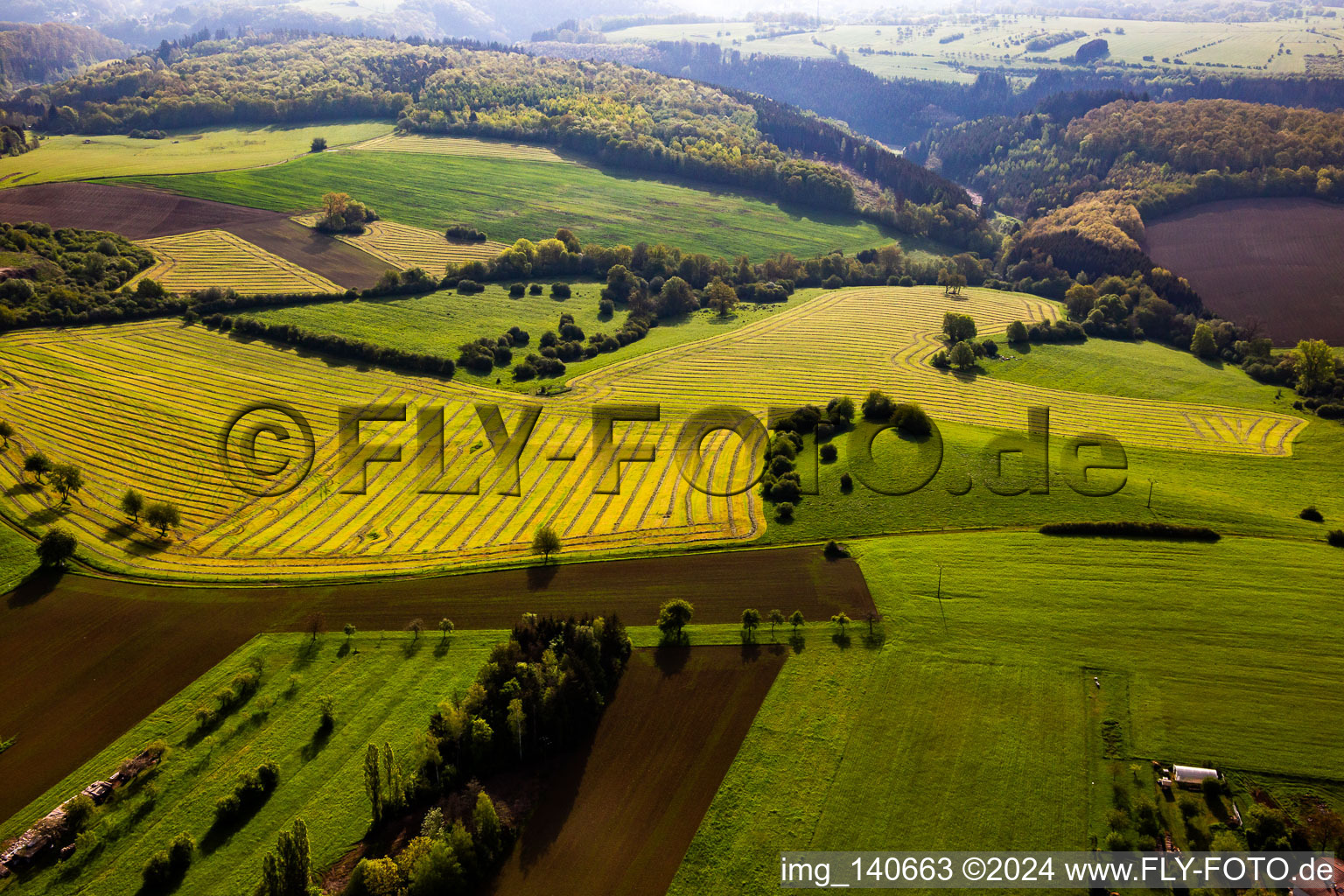 Freshly mown meadows with rows of hay in Petit-Réderching in the state Moselle, France