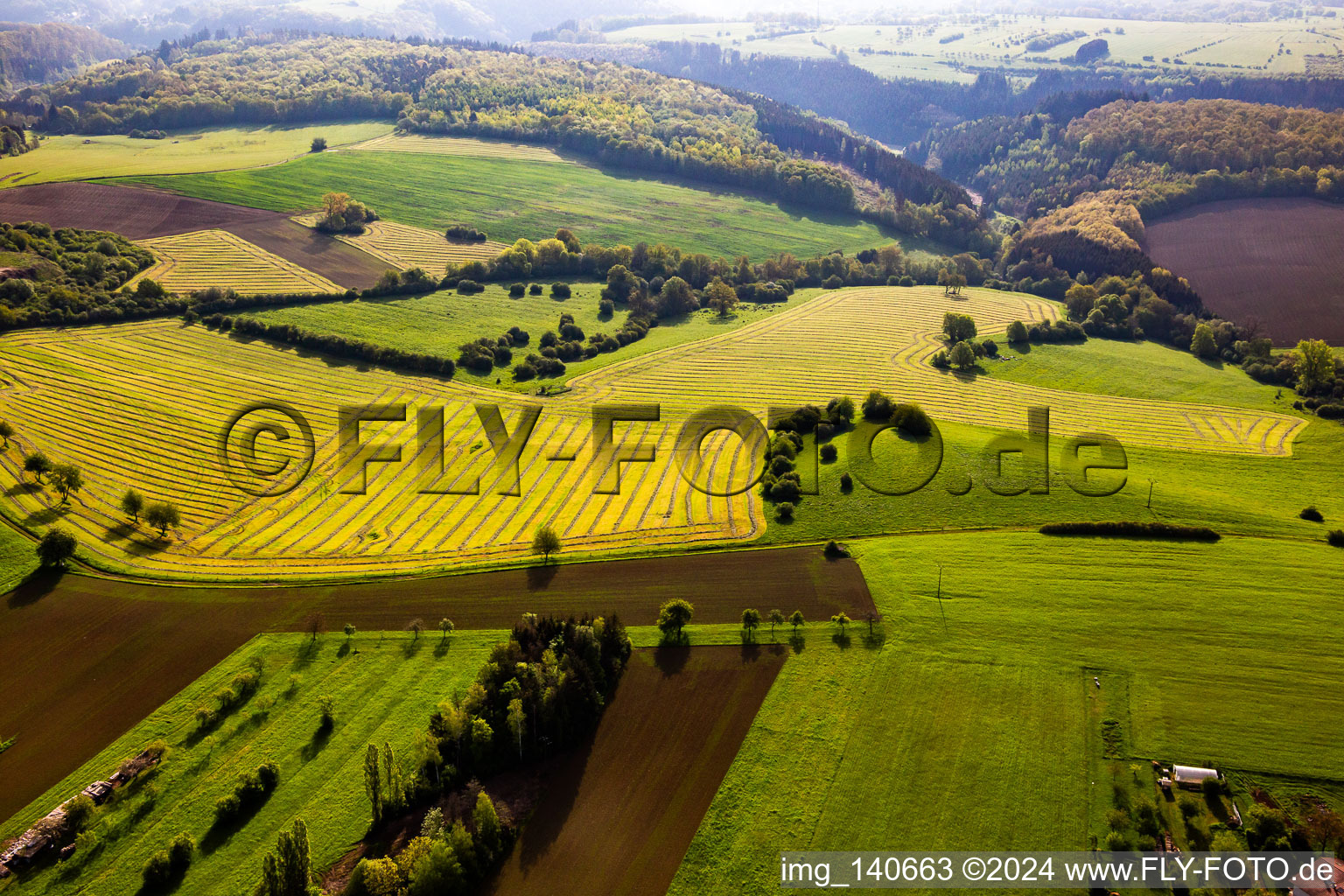 Freshly mown meadows with rows of hay in Petit-Réderching in the state Moselle, France