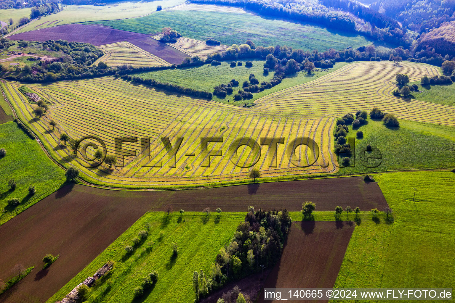 Aerial view of Freshly mown meadows with hay rows in Petit-Réderching in the state Moselle, France