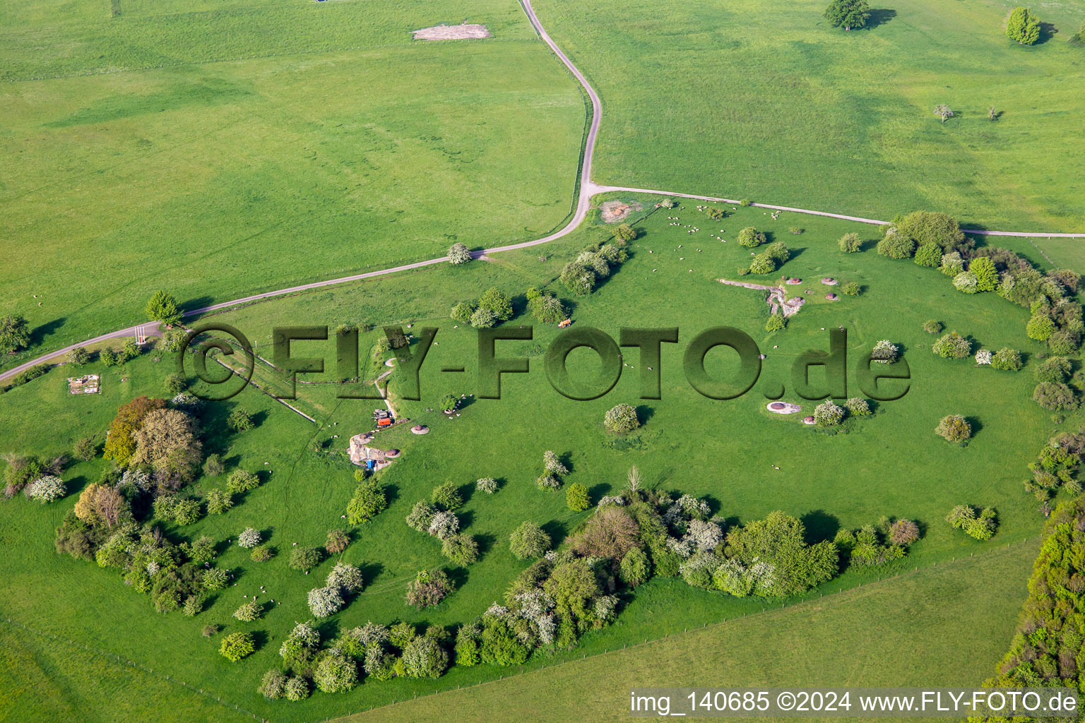 Sheep graze between old bunker ruins in Achen in the state Moselle, France