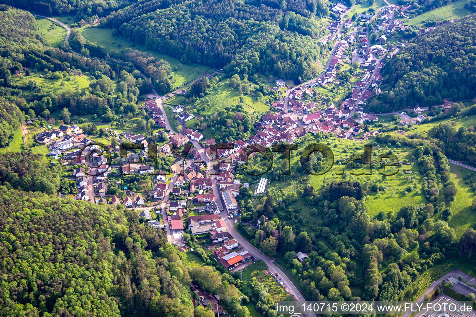 Schwanheim in the state Rhineland-Palatinate, Germany from the drone perspective