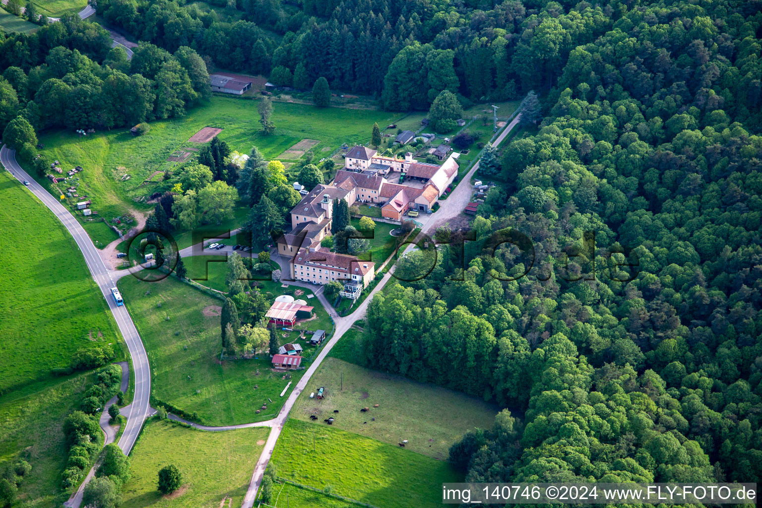 Josefshof farm community, Gallowway, Free Farm Forest School South Palatinate in Völkersweiler in the state Rhineland-Palatinate, Germany