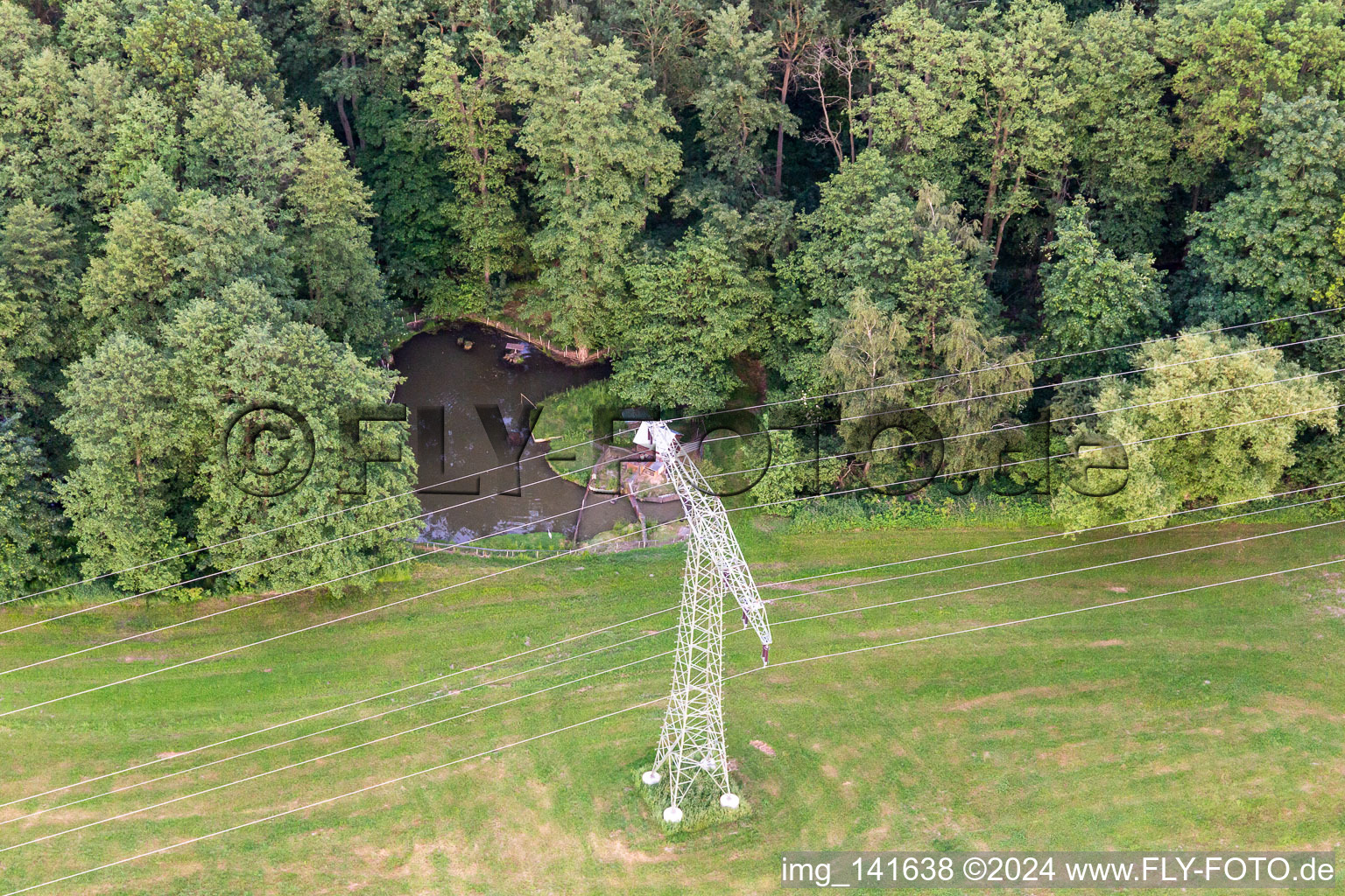 High voltage pylon at the edge of the forest with fishing pond in the district Burkersdorf in Zittau in the state Saxony, Germany