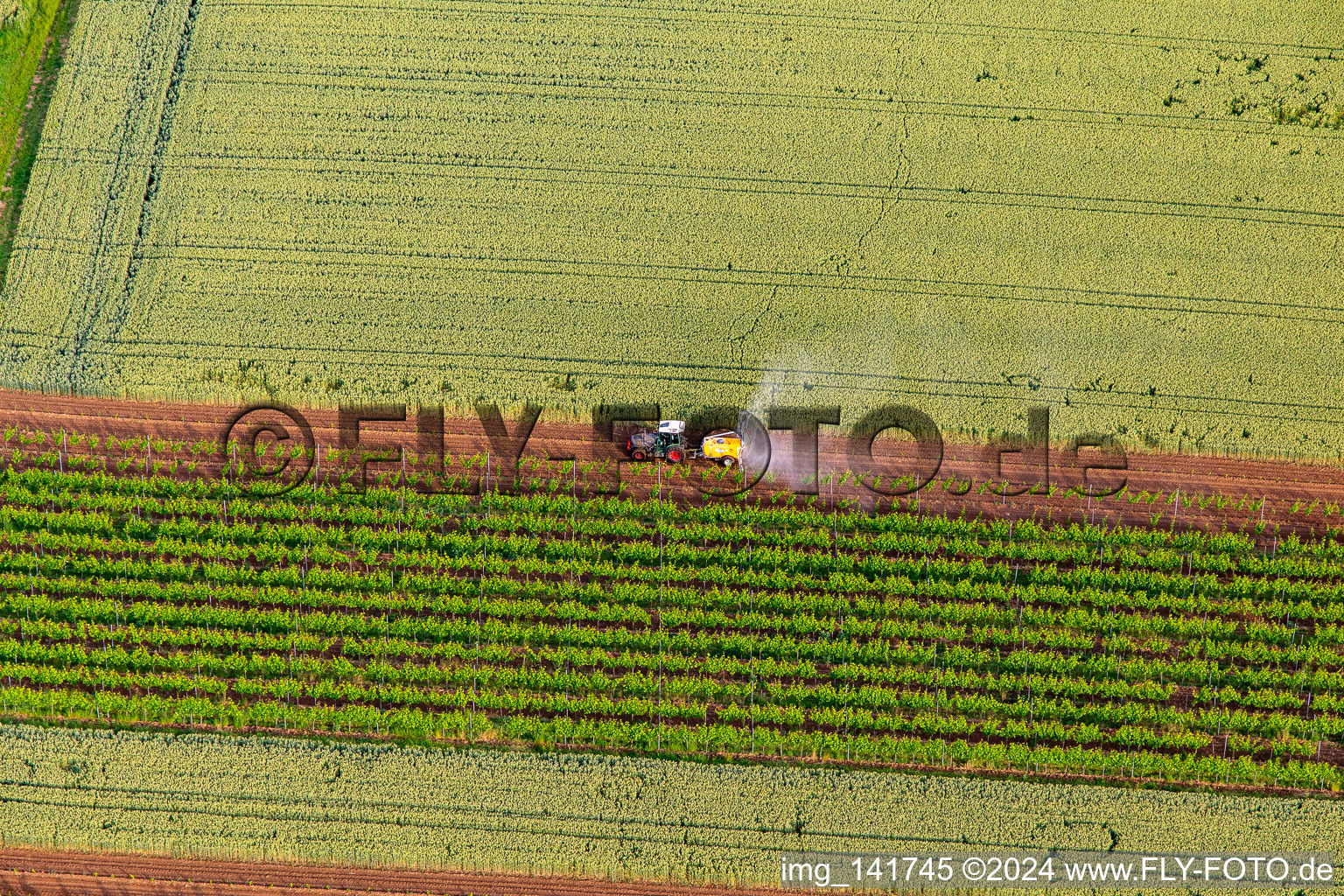 Tractor sprays grapevines with pesticide in the district Ingenheim in Billigheim-Ingenheim in the state Rhineland-Palatinate, Germany