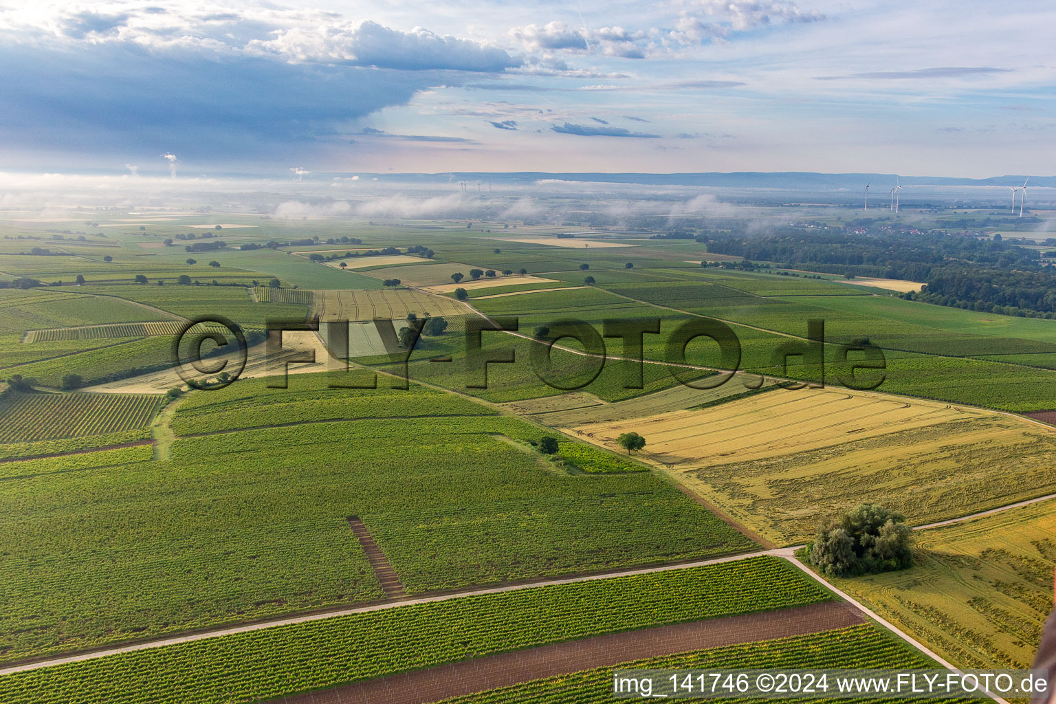 Low clouds over the fields from winds in the district Ingenheim in Billigheim-Ingenheim in the state Rhineland-Palatinate, Germany