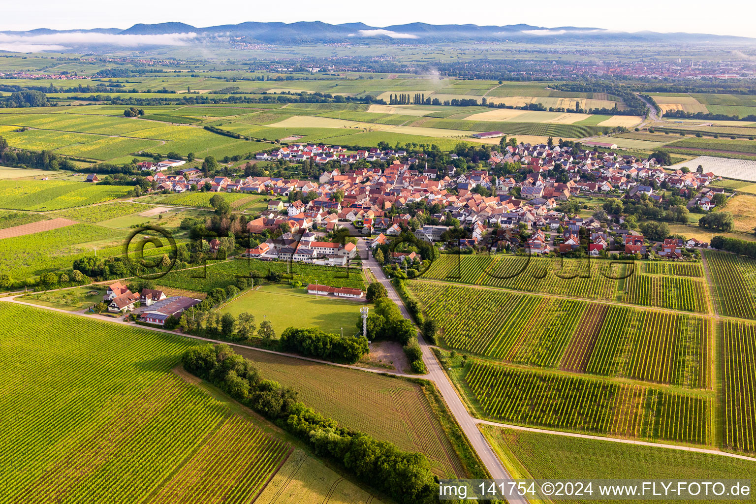 From the southeast in Impflingen in the state Rhineland-Palatinate, Germany