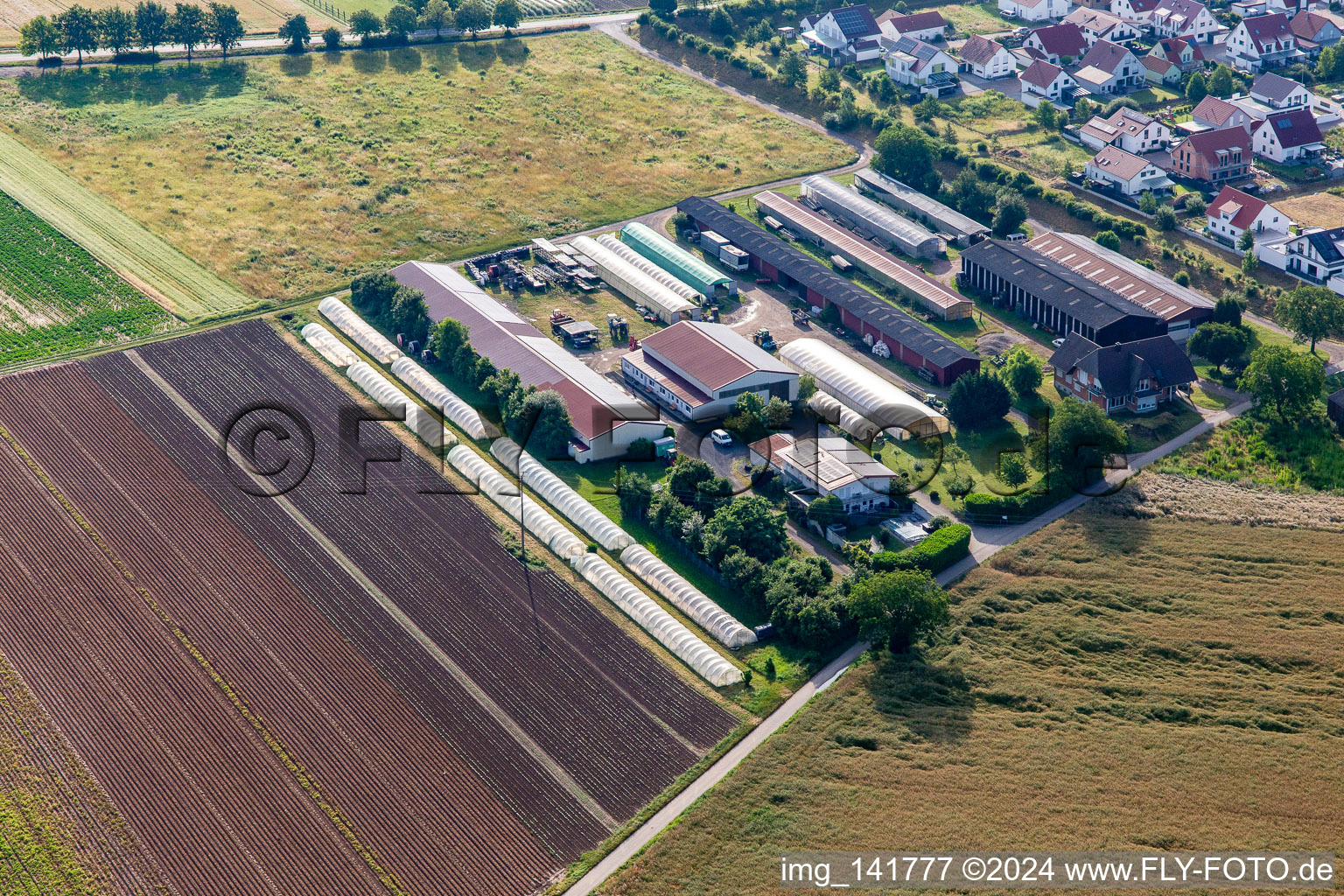 Markus Fischer Holiday Apartment in Hördt in the state Rhineland-Palatinate, Germany