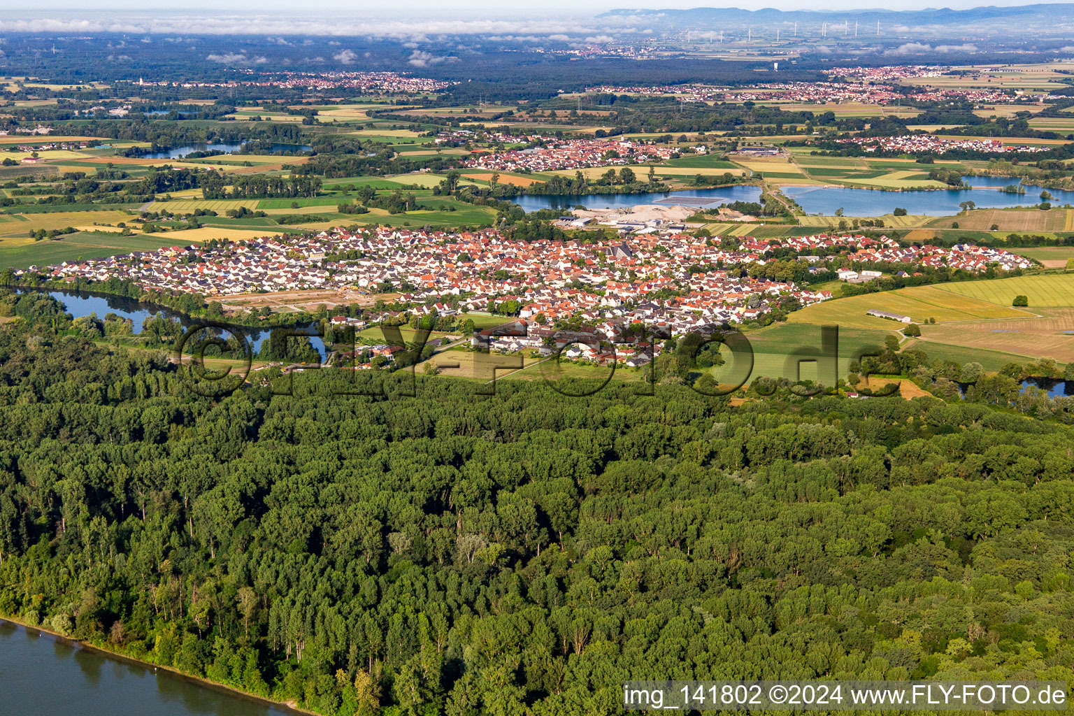 From northeast in Leimersheim in the state Rhineland-Palatinate, Germany