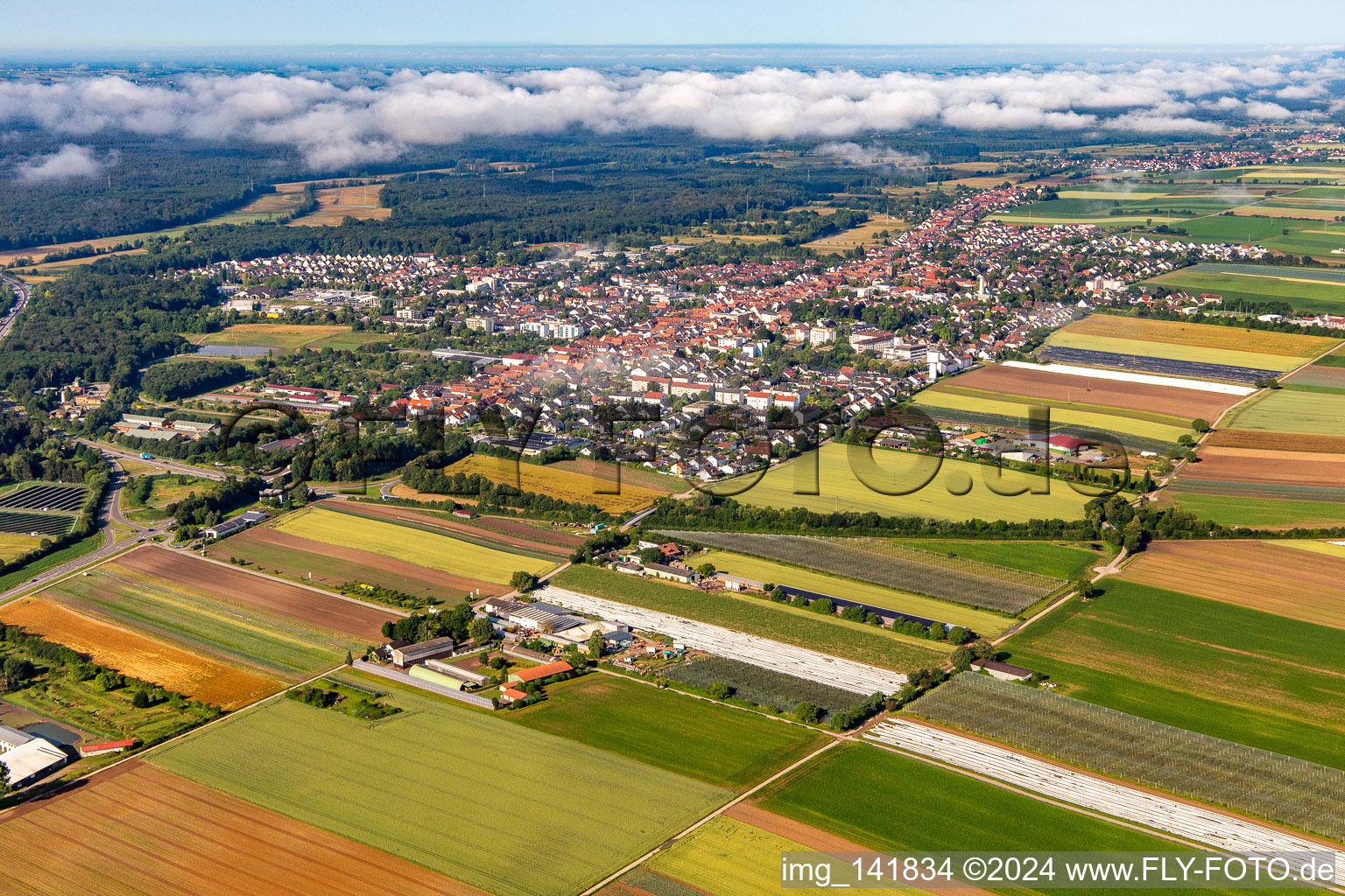 From northeast in Kandel in the state Rhineland-Palatinate, Germany