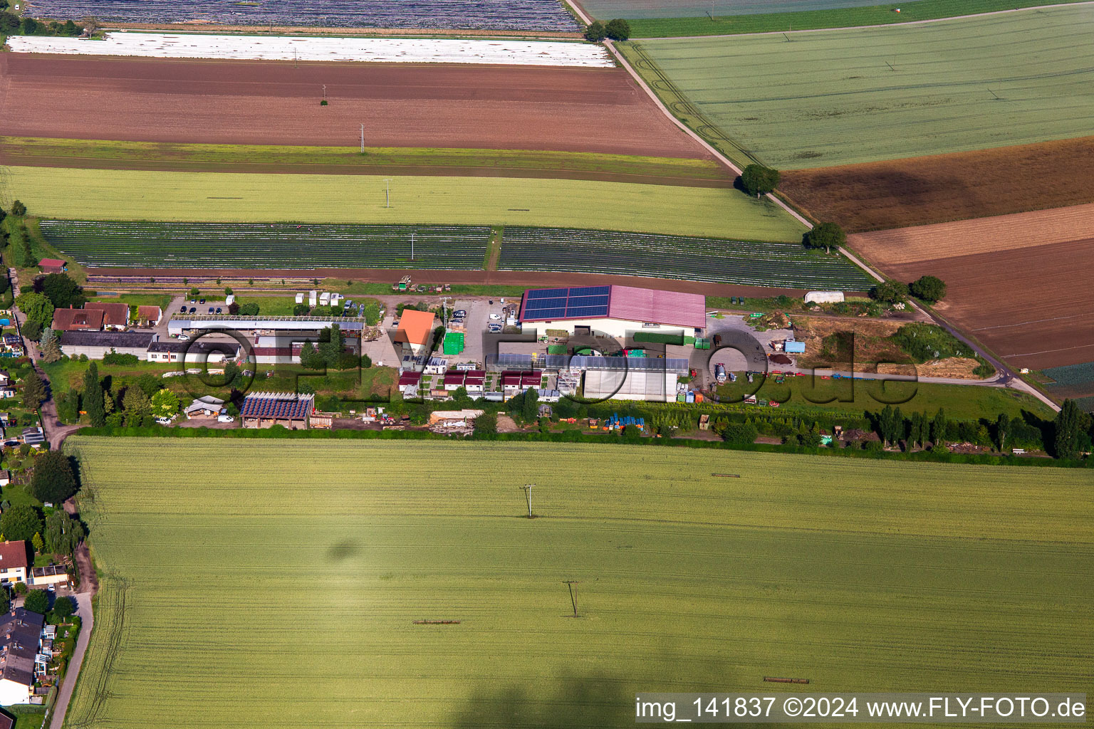 Organic farm Kugelmann in Kandel in the state Rhineland-Palatinate, Germany out of the air