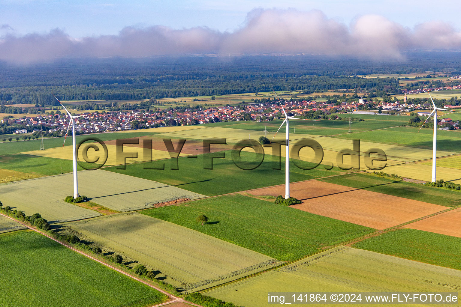 Wind farm Minfeld in low clouds in Minfeld in the state Rhineland-Palatinate, Germany