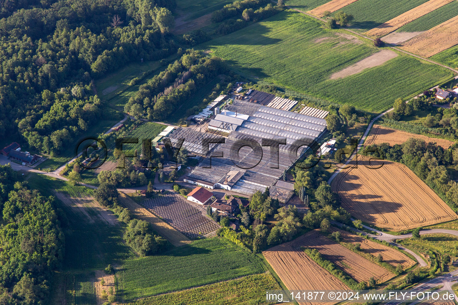 Former geranium nursery in Hagenbach in the state Rhineland-Palatinate, Germany