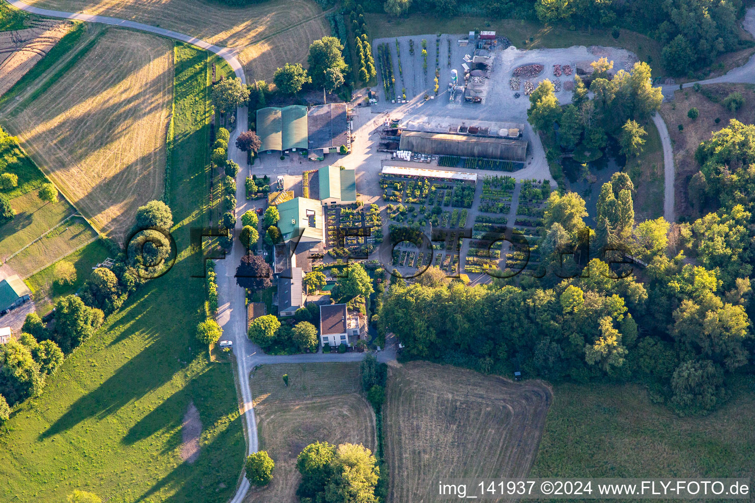 Bienwald-Baumschule Konrad in Berg in the state Rhineland-Palatinate, Germany