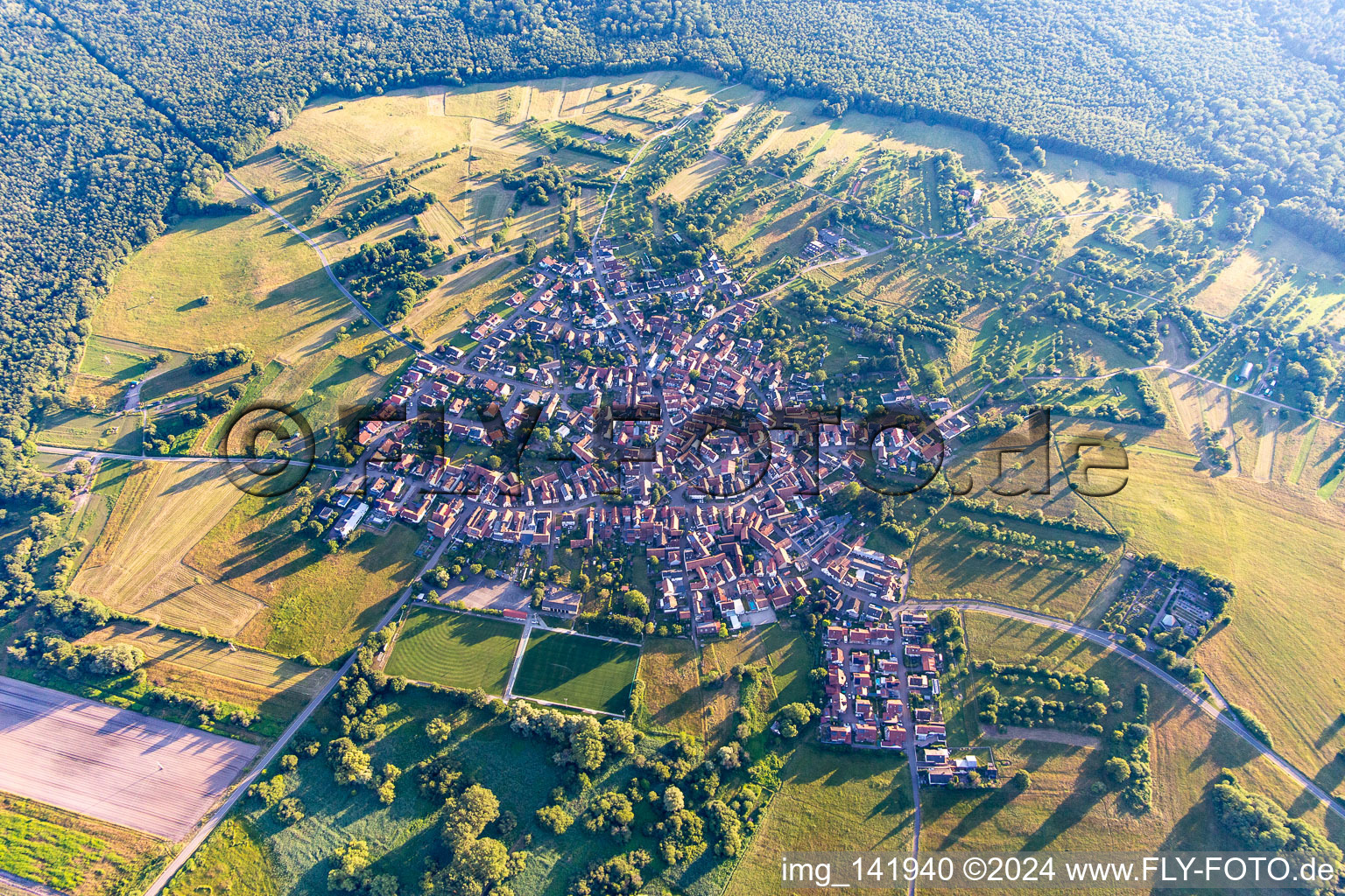 In summer in the district Büchelberg in Wörth am Rhein in the state Rhineland-Palatinate, Germany