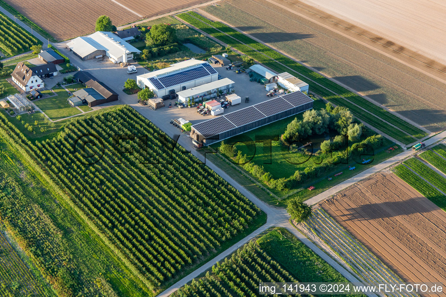 Aerial view of Farmer's garden with natural pond in Winden in the state Rhineland-Palatinate, Germany