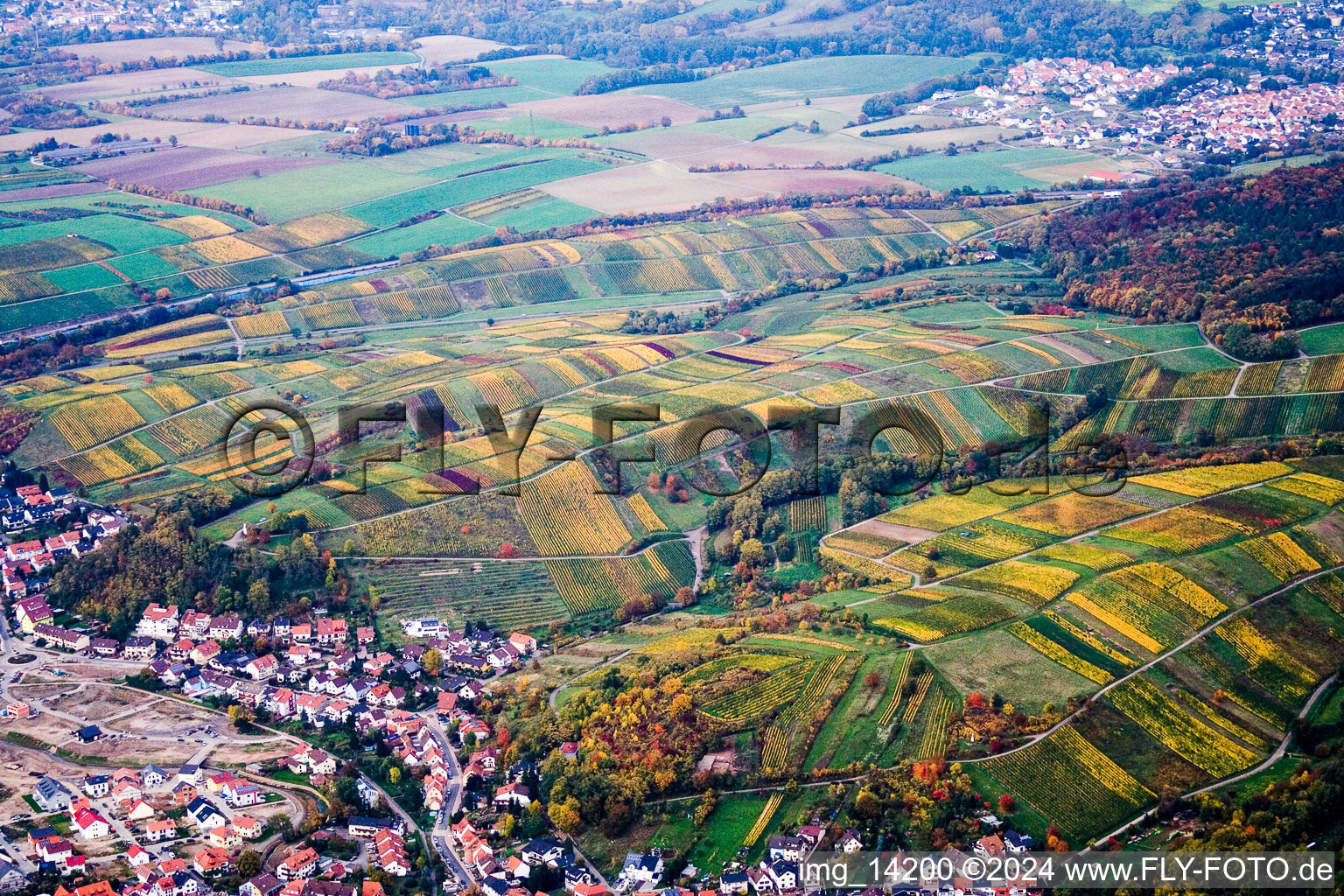 Vineyards towards Wiesloch in Rauenberg in the state Baden-Wuerttemberg, Germany