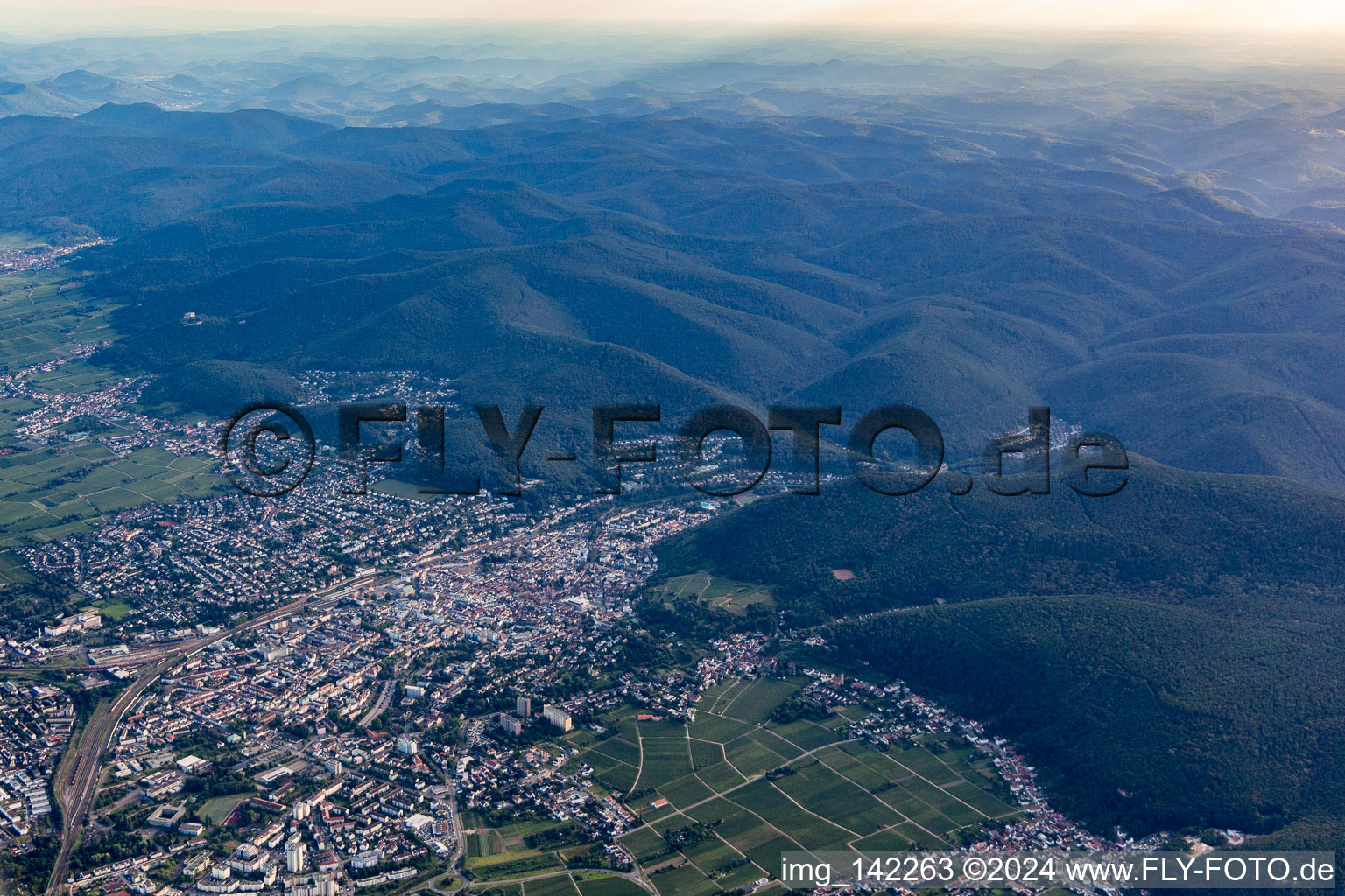 From northeast in Neustadt an der Weinstraße in the state Rhineland-Palatinate, Germany