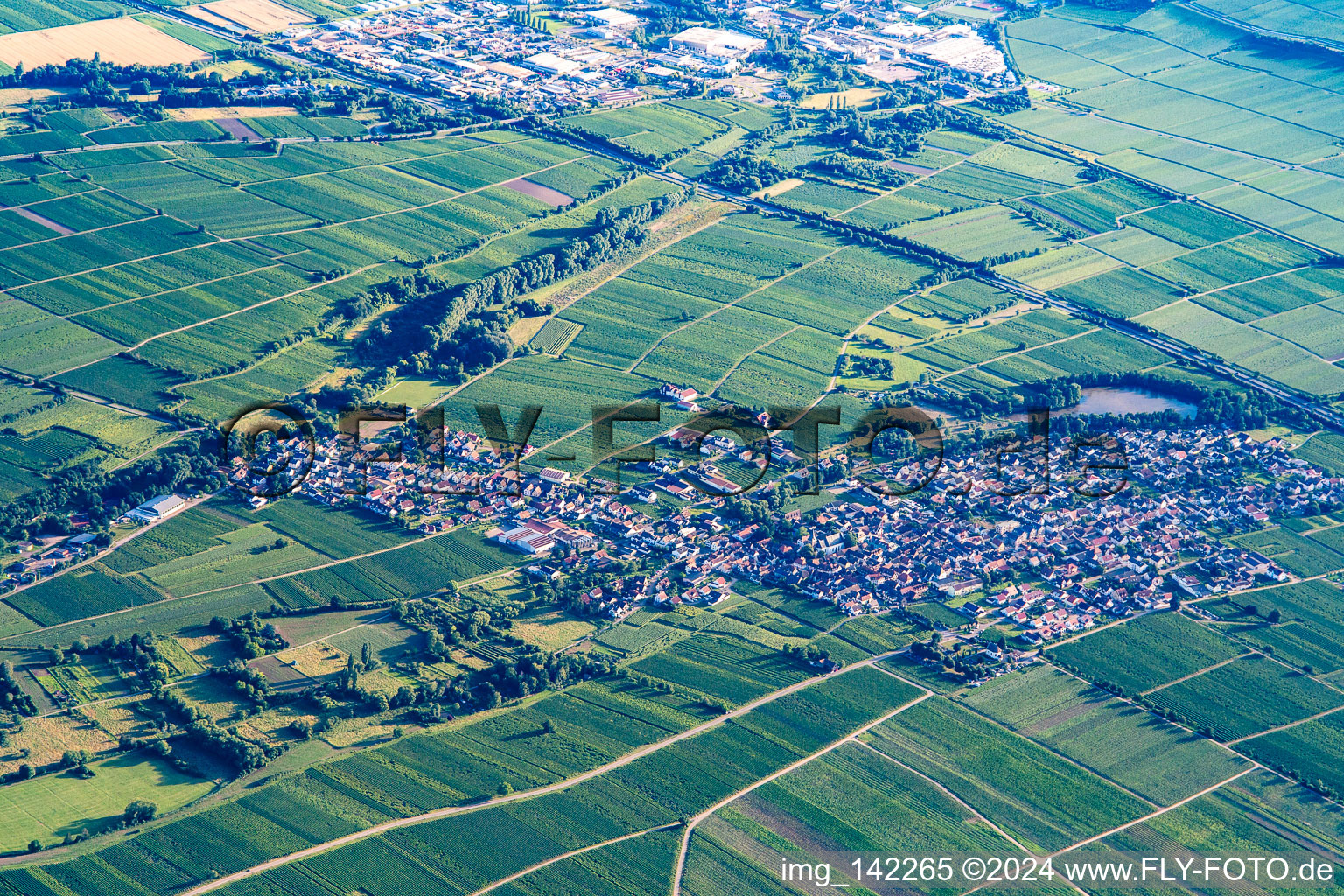 From northeast in Kirrweiler in the state Rhineland-Palatinate, Germany