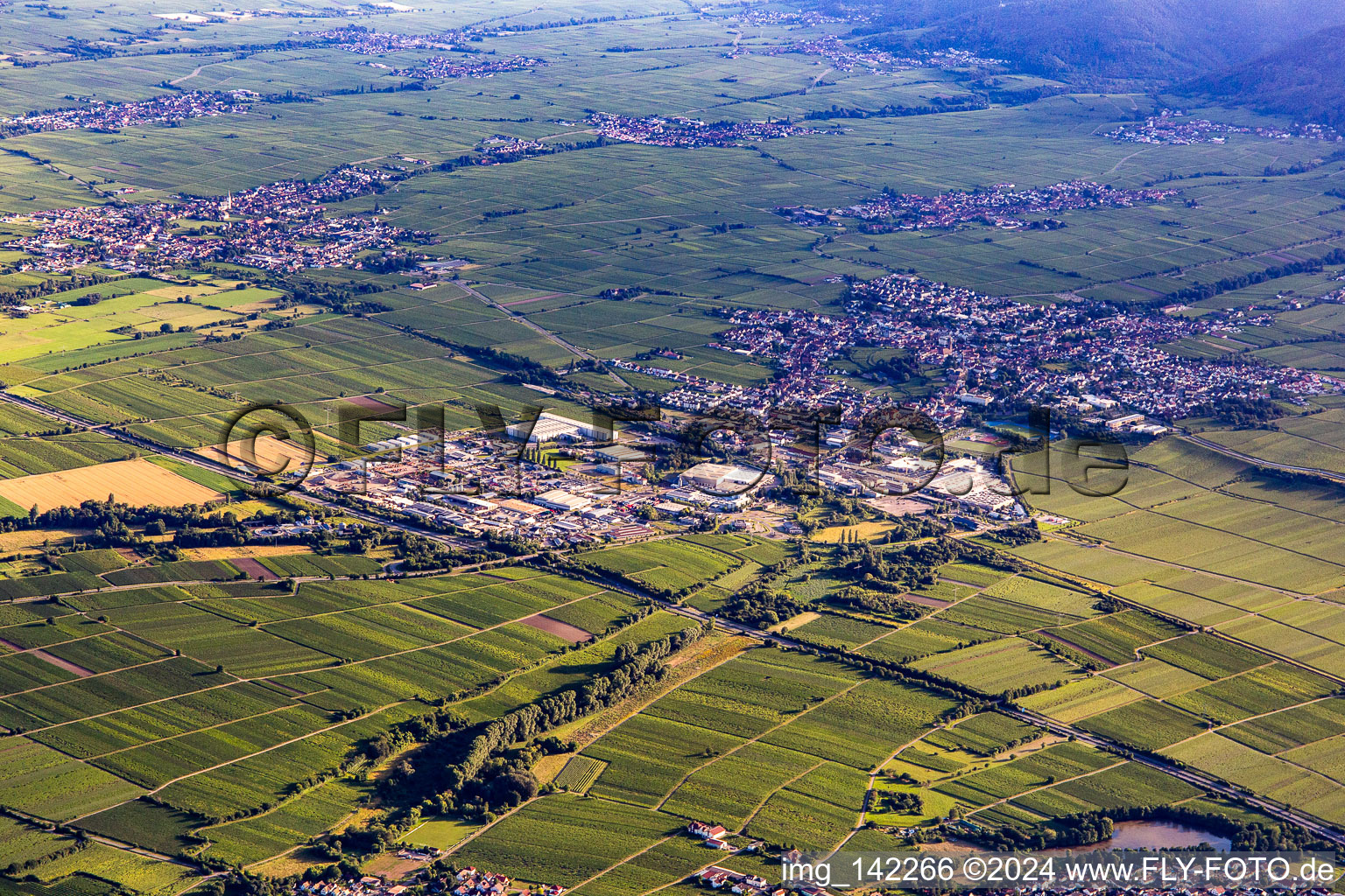 From northeast in Edenkoben in the state Rhineland-Palatinate, Germany