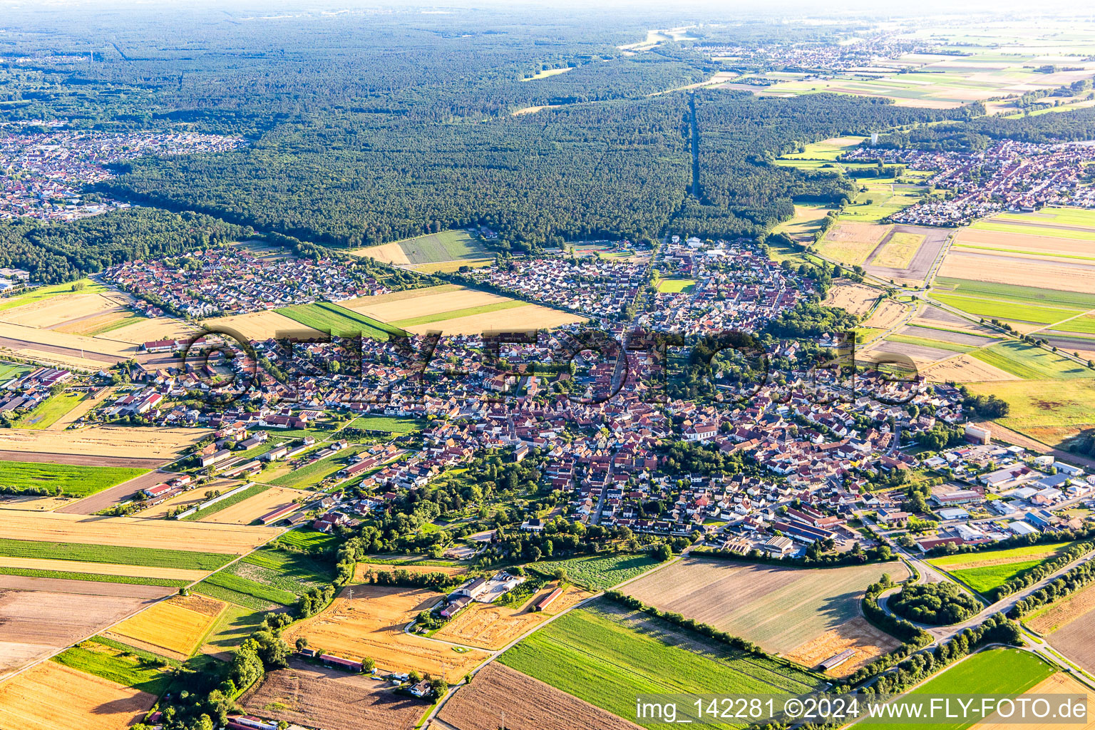 Rheinzabern in the state Rhineland-Palatinate, Germany from the drone perspective