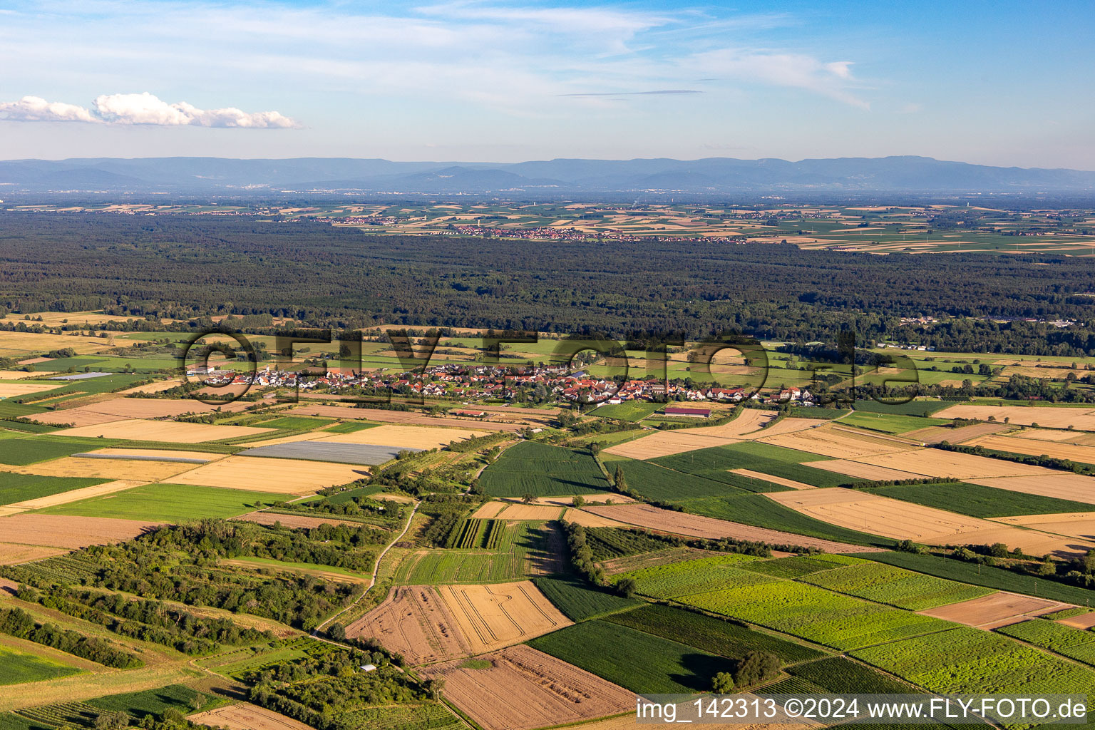 Aerial view of From the north in Schweighofen in the state Rhineland-Palatinate, Germany