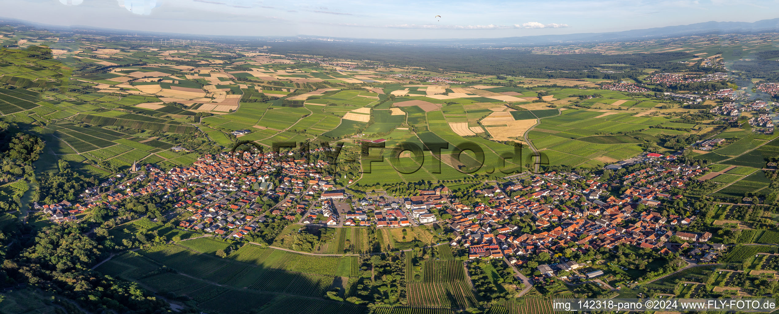 Aerial view of District Schweigen in Schweigen-Rechtenbach in the state Rhineland-Palatinate, Germany