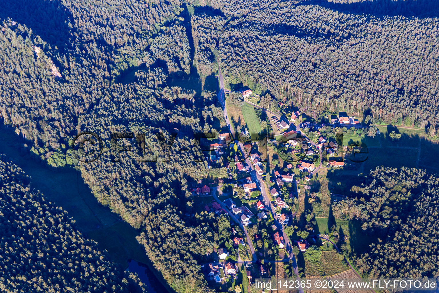 From the northwest in the district Lauterschwan in Erlenbach bei Dahn in the state Rhineland-Palatinate, Germany