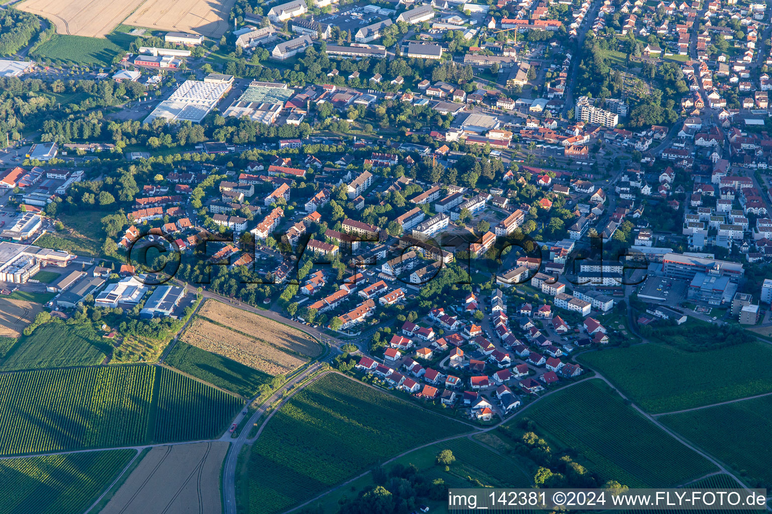 New development area in Wngert in the district Pleisweiler in Bad Bergzabern in the state Rhineland-Palatinate, Germany