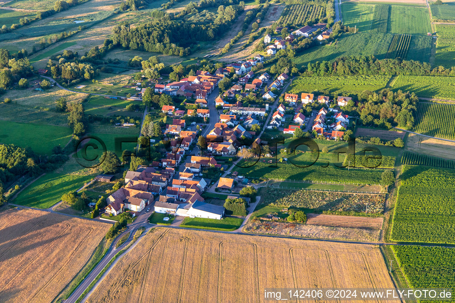 From the west in Hergersweiler in the state Rhineland-Palatinate, Germany