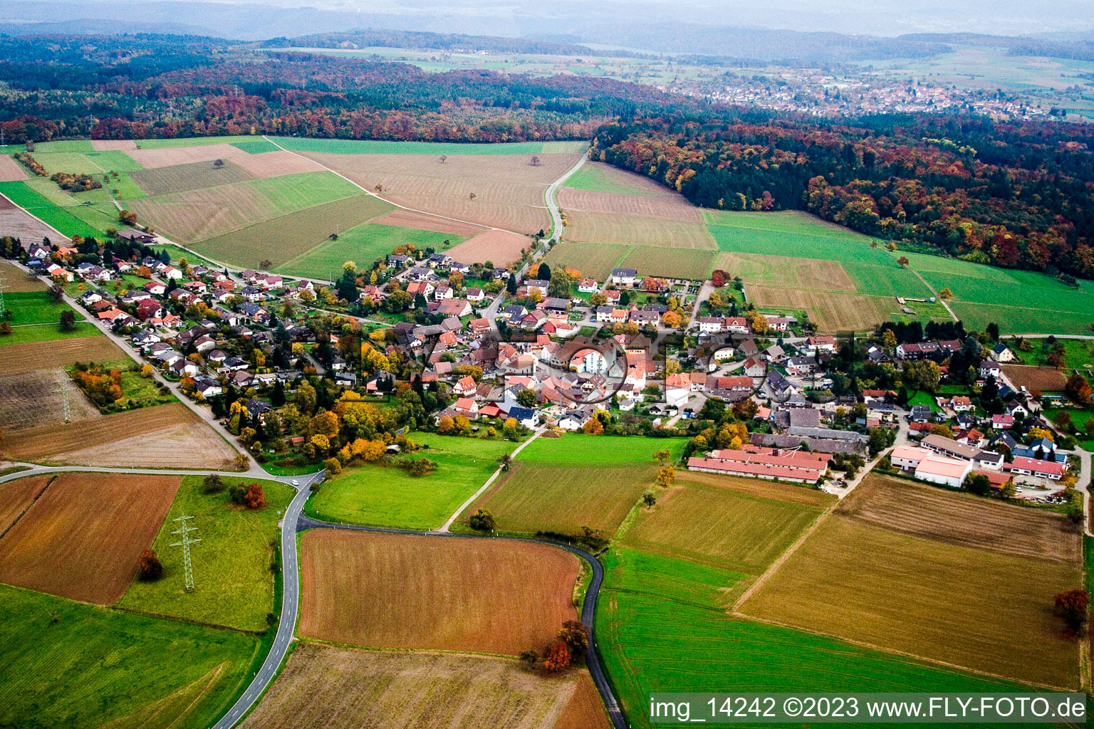 Aerial view of Schwanheim in the state Baden-Wuerttemberg, Germany