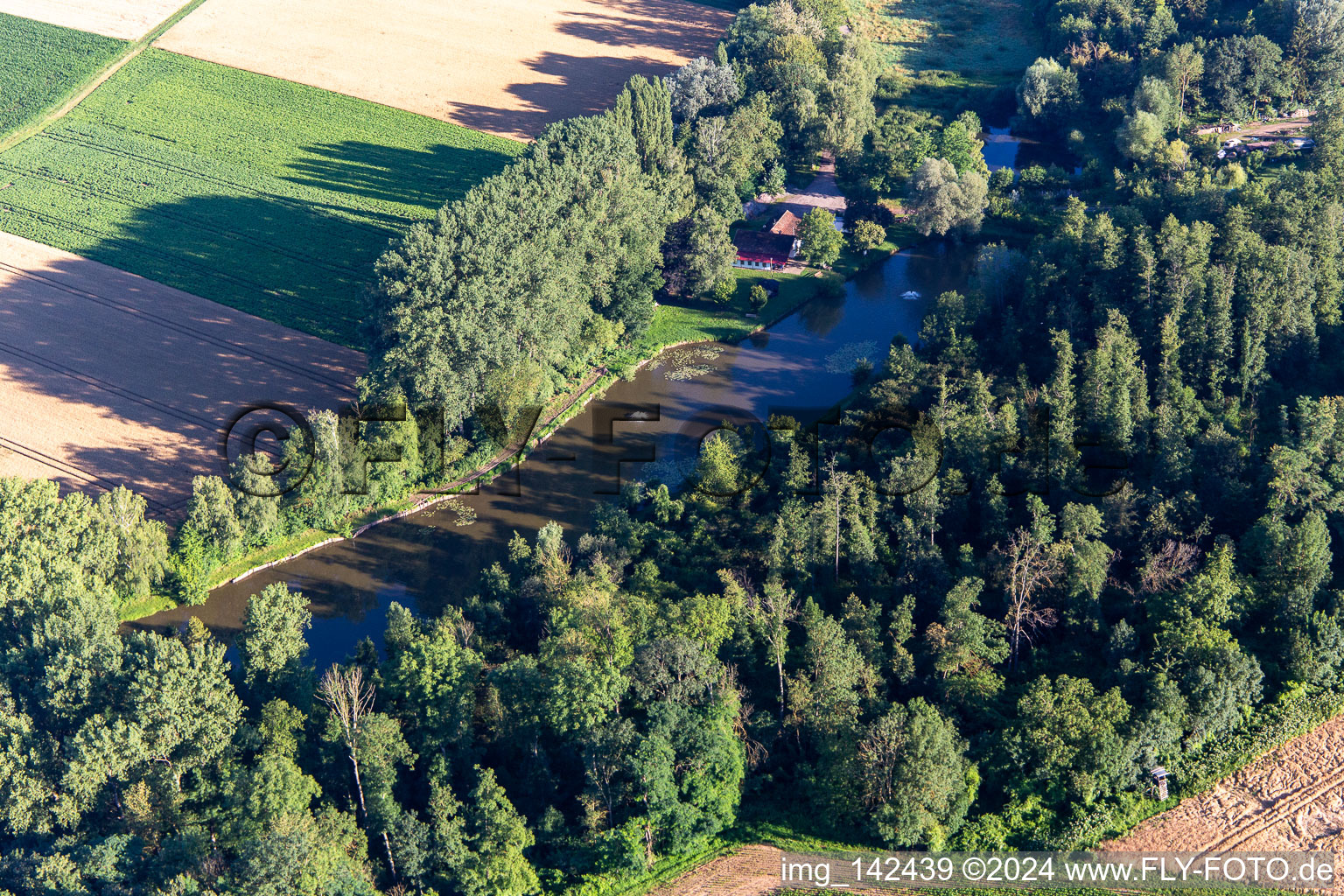 Fish ponds at Quodbach in Insheim in the state Rhineland-Palatinate, Germany