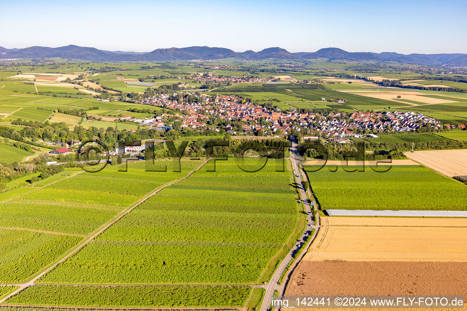 From the west in Insheim in the state Rhineland-Palatinate, Germany