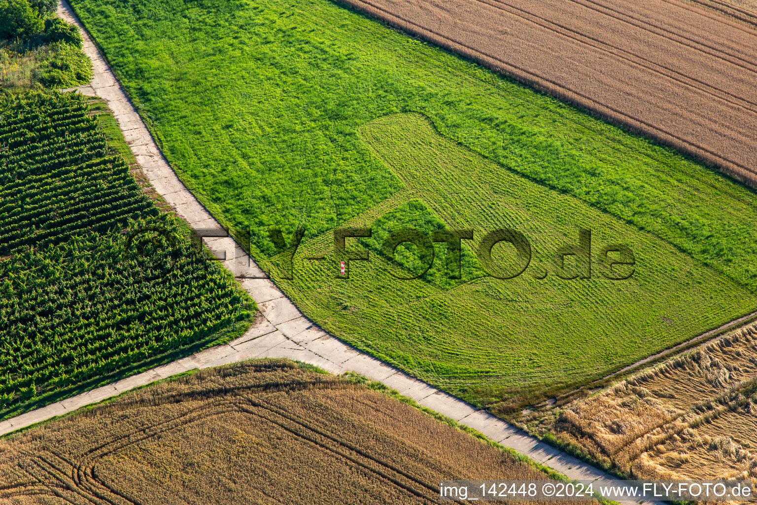 Towing area of the hang gliding club "nix wie nuff in the district Offenbach in Offenbach an der Queich in the state Rhineland-Palatinate, Germany