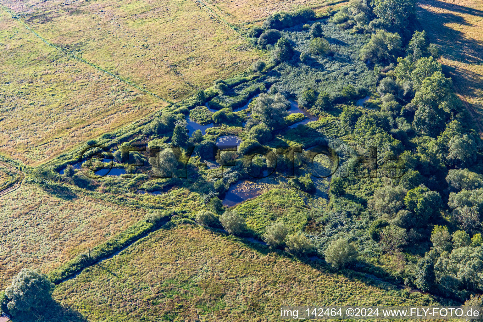 Aerial photograpy of Biotope on the Queich in the district Niederhochstadt in Hochstadt in the state Rhineland-Palatinate, Germany