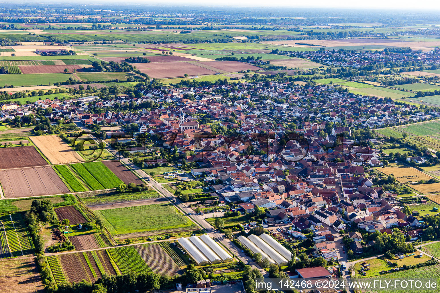 From the southwest in Zeiskam in the state Rhineland-Palatinate, Germany