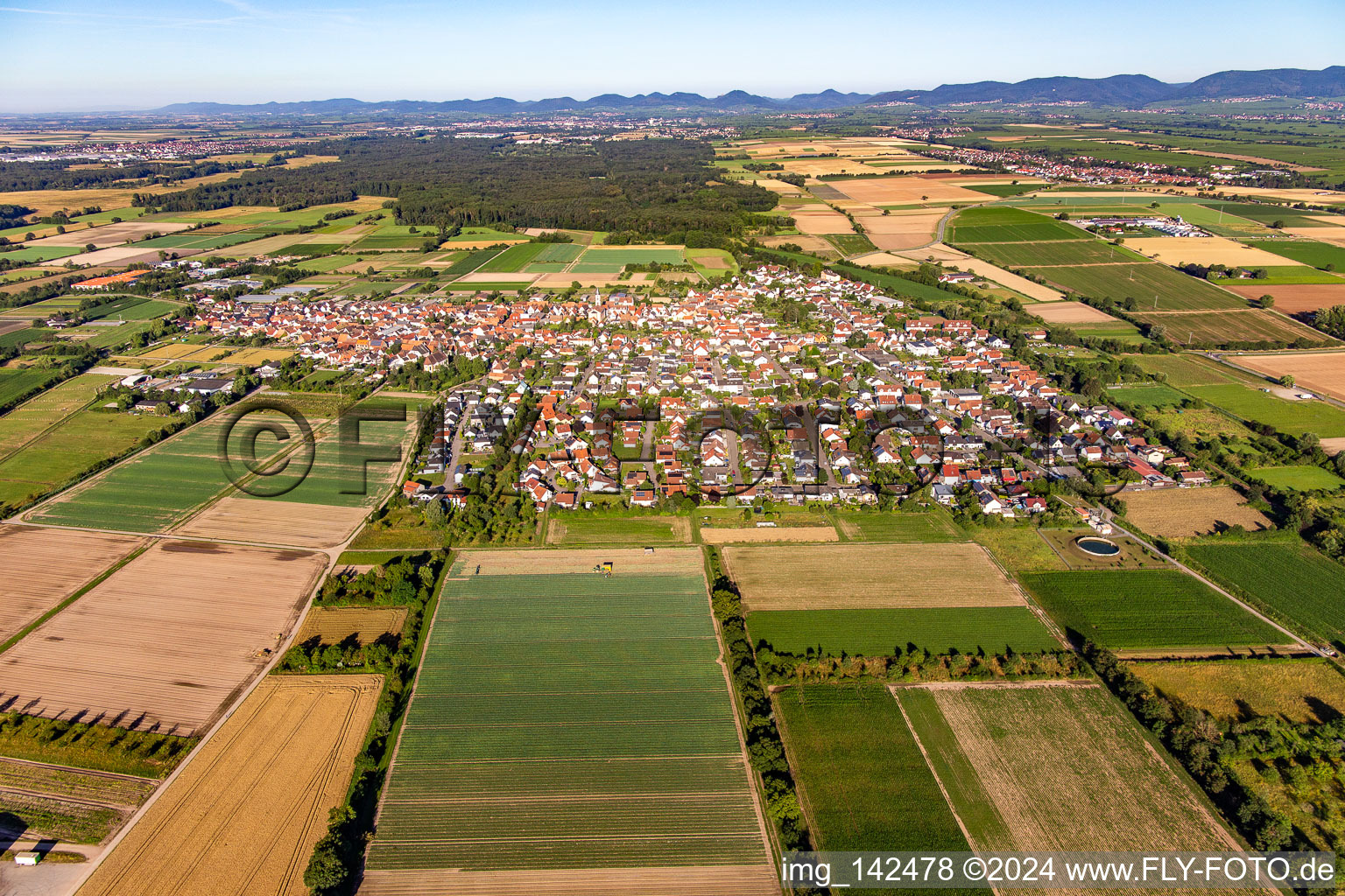 From the east in Zeiskam in the state Rhineland-Palatinate, Germany