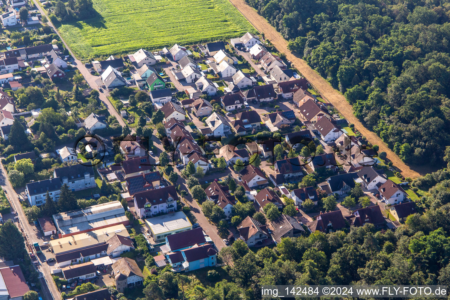 Waldstr in Westheim in the state Rhineland-Palatinate, Germany