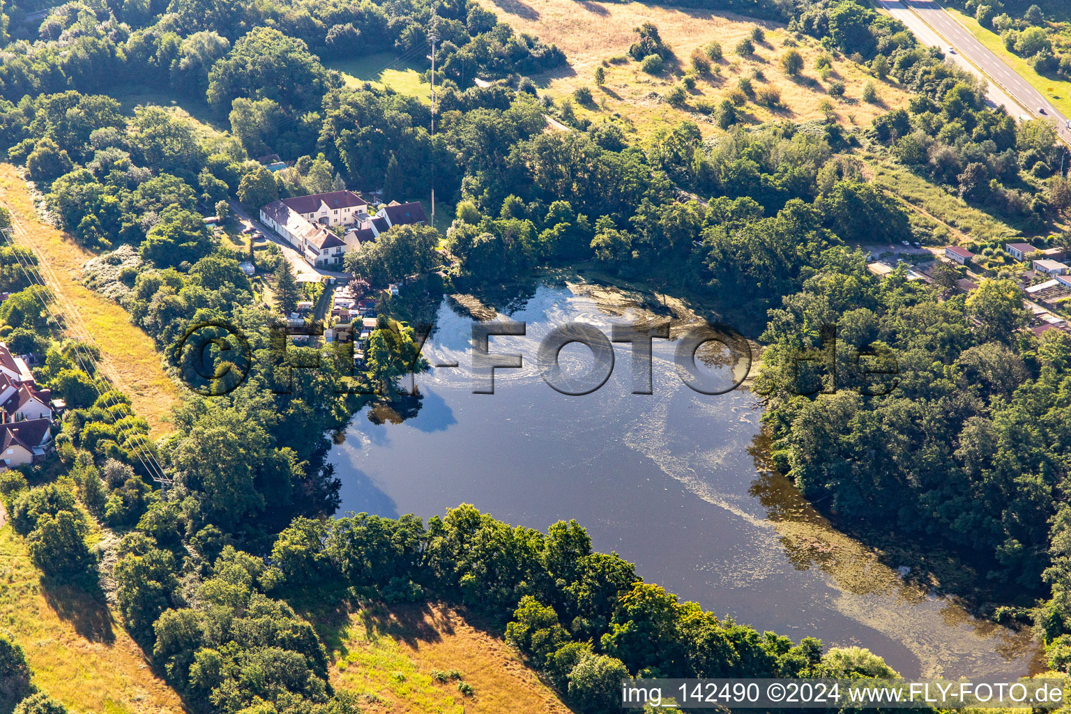 Pond along the Druslach in Lingenfeld in the state Rhineland-Palatinate, Germany