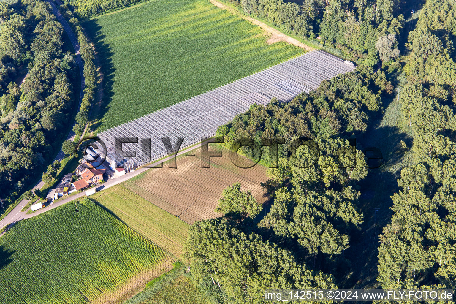 Aerial view of Blumen-Xpert GbR nursery with greenhouses on Hördter Straße in the district Sondernheim in Germersheim in the state Rhineland-Palatinate, Germany