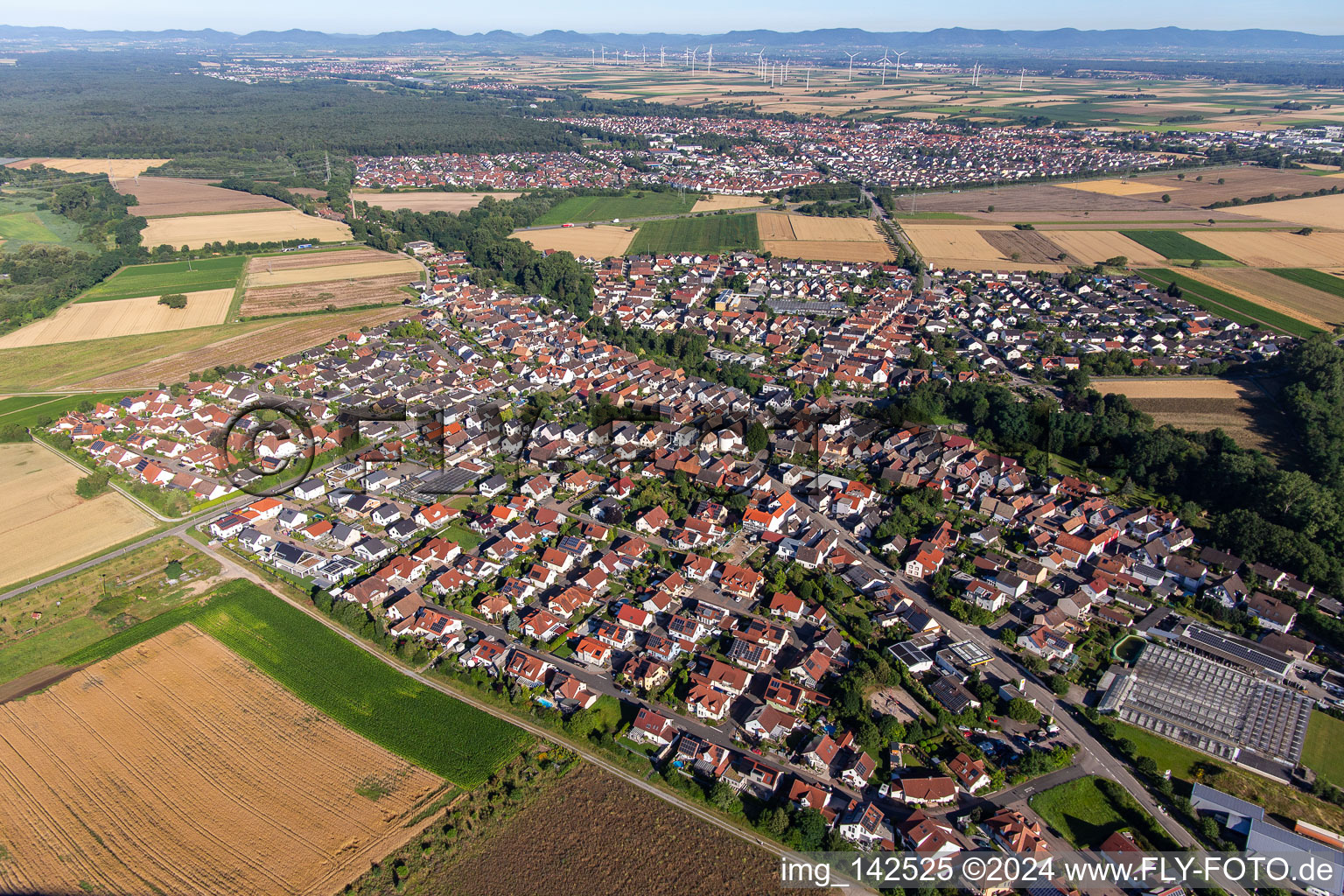 In the skylark’s flight in Kuhardt in the state Rhineland-Palatinate, Germany