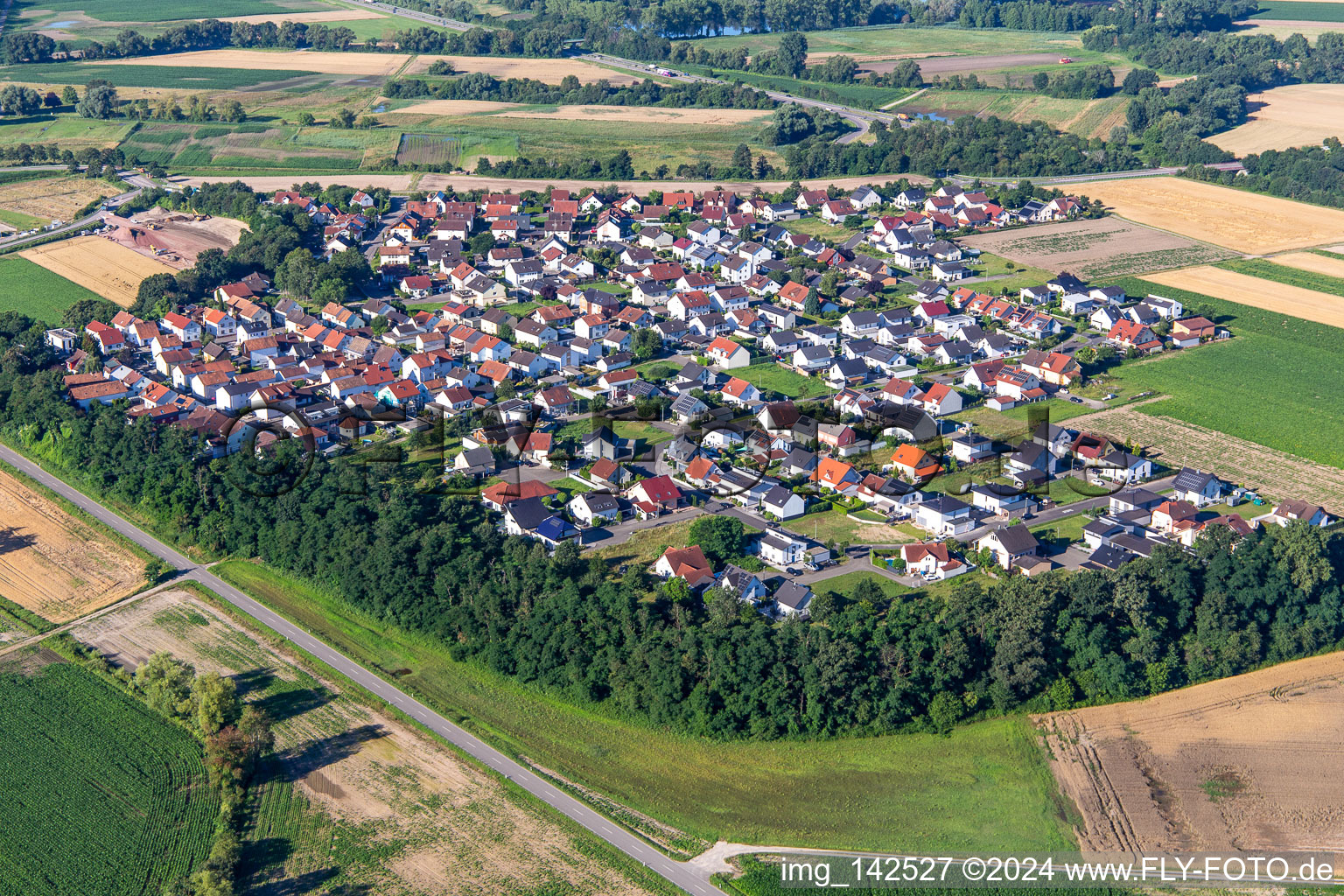 From northeast in the district Hardtwald in Neupotz in the state Rhineland-Palatinate, Germany