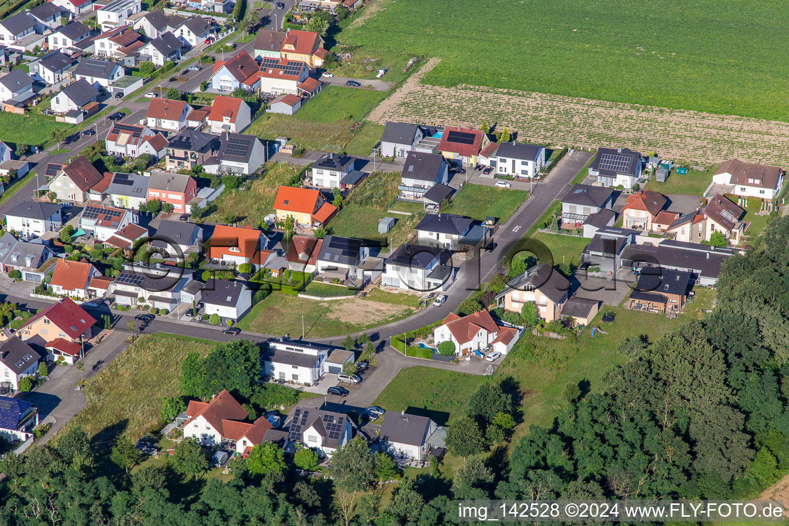 Flower ring in the district Hardtwald in Neupotz in the state Rhineland-Palatinate, Germany seen from above