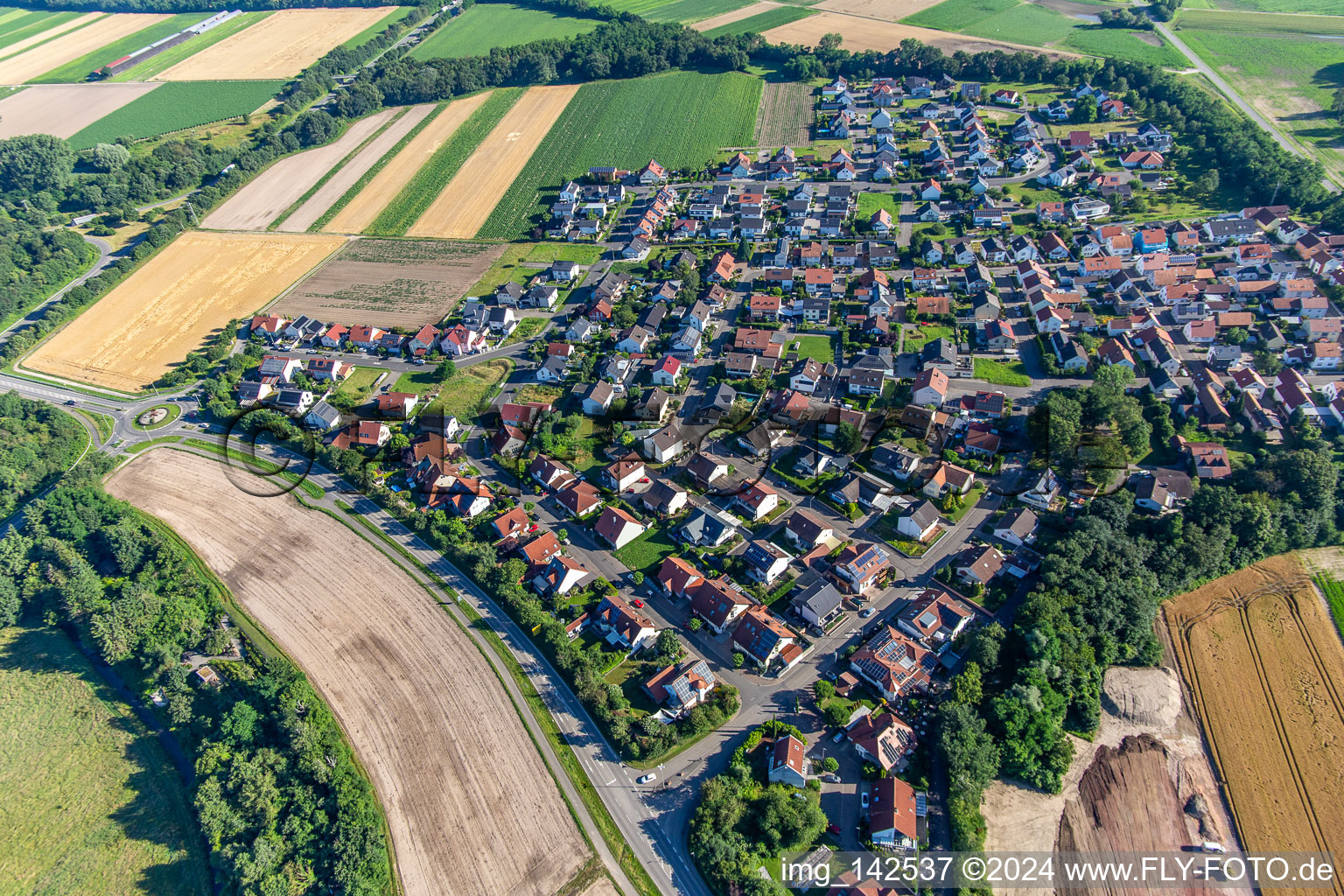 From the south in the district Hardtwald in Neupotz in the state Rhineland-Palatinate, Germany