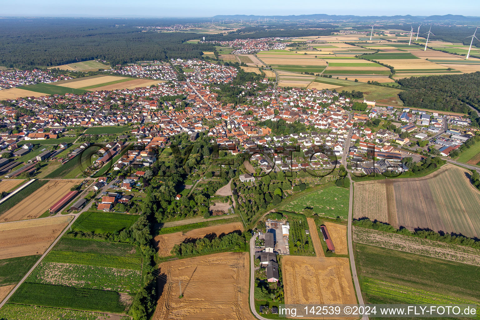 From the southeast in Rheinzabern in the state Rhineland-Palatinate, Germany