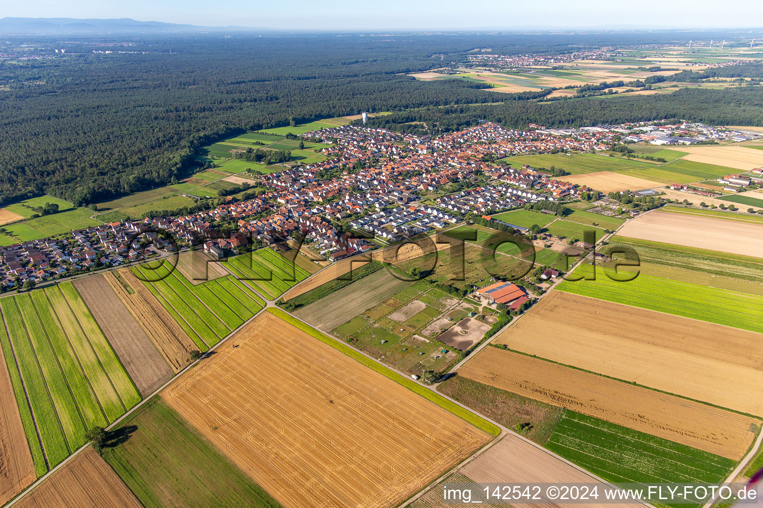 From northeast in Hatzenbühl in the state Rhineland-Palatinate, Germany