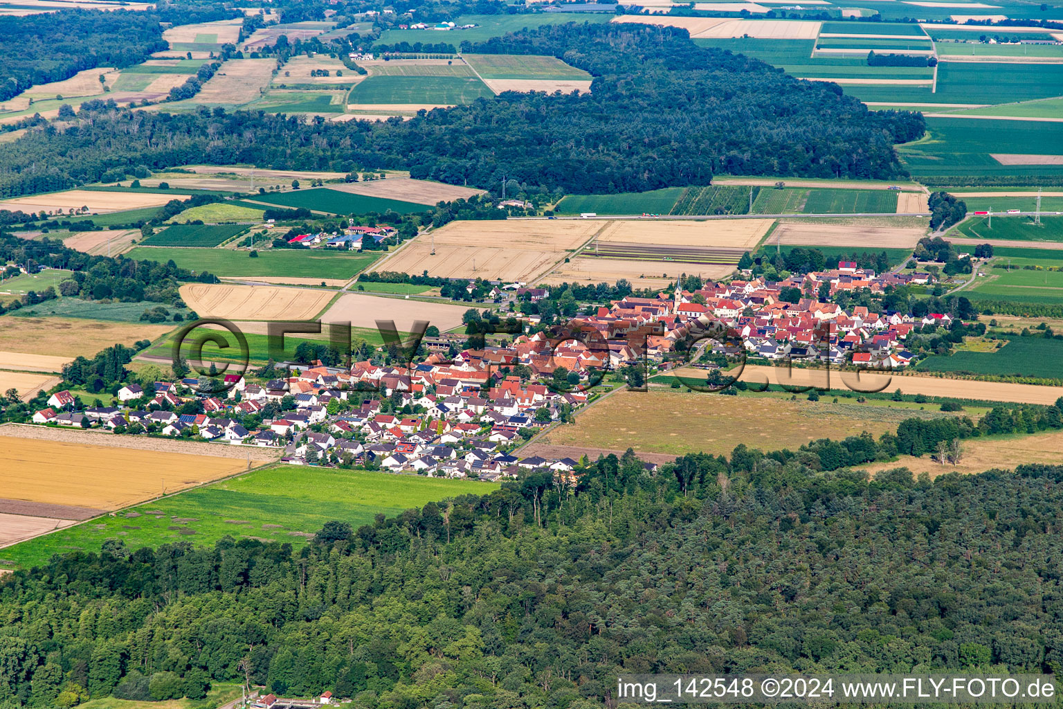 From northeast in Erlenbach bei Kandel in the state Rhineland-Palatinate, Germany from the plane