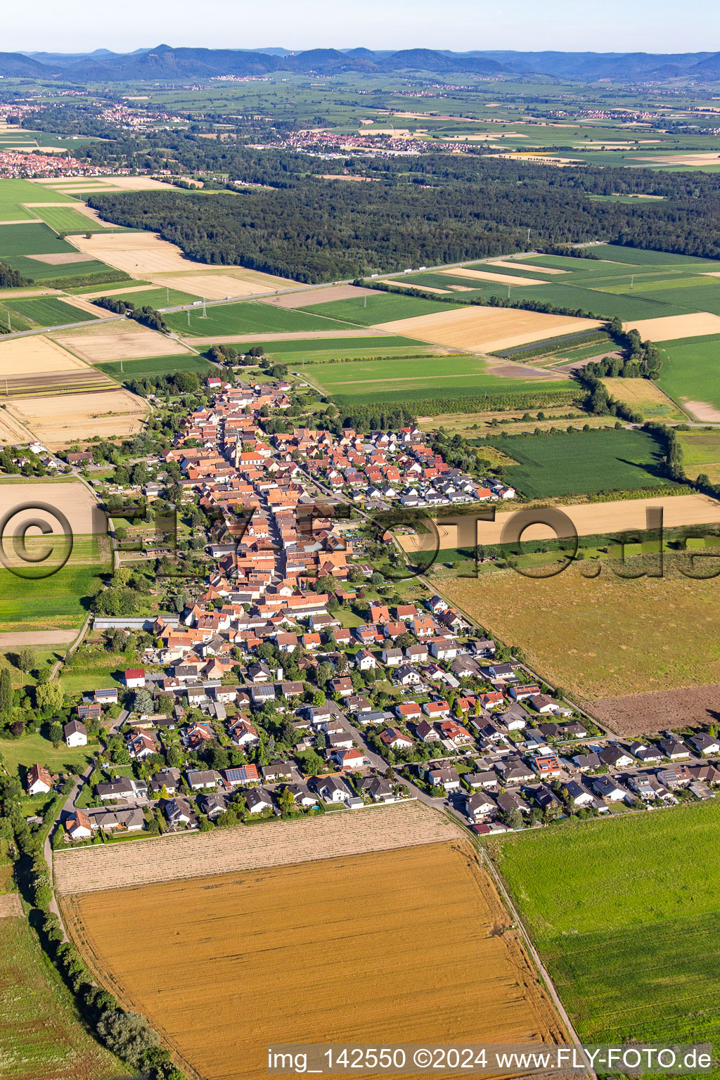 From the east in Erlenbach bei Kandel in the state Rhineland-Palatinate, Germany