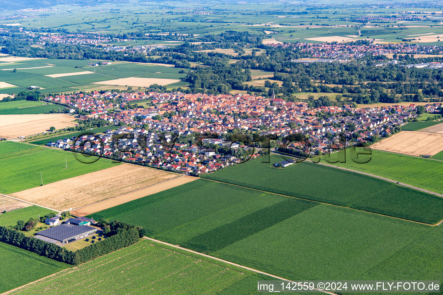 Aerial view of From the southeast in Steinweiler in the state Rhineland-Palatinate, Germany