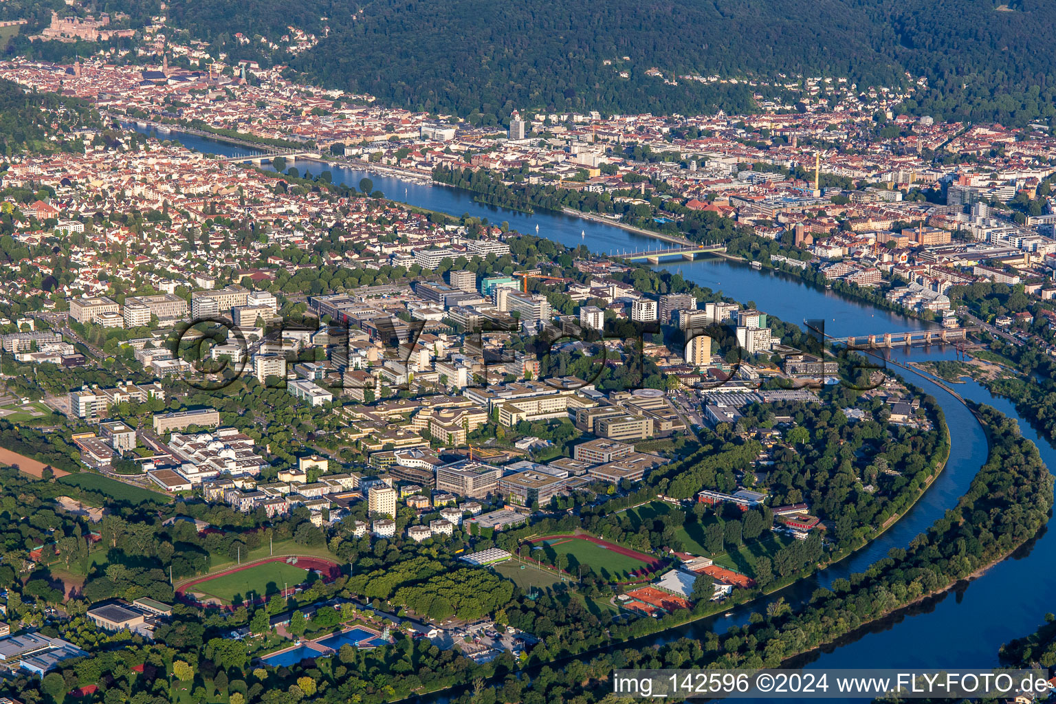 Neuenheimer Field in the district Neuenheim in Heidelberg in the state Baden-Wuerttemberg, Germany